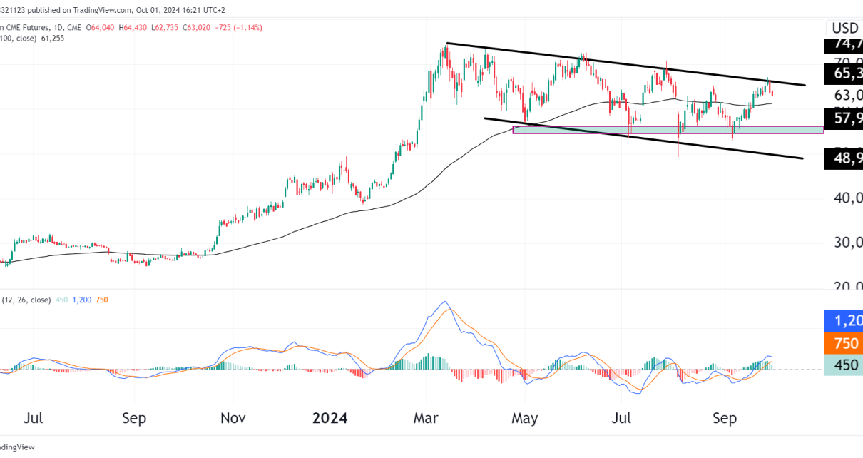 bitcoin daily chart