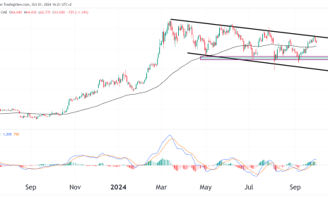 bitcoin daily chart