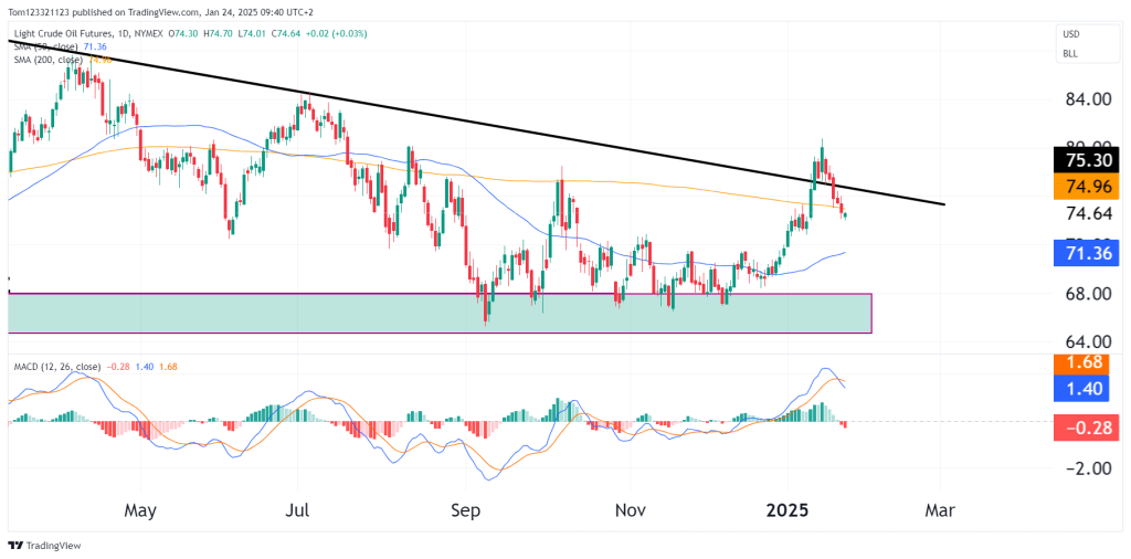 Crude oil futures daily chart technical analysis