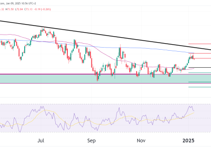 crude oil daily futures chart