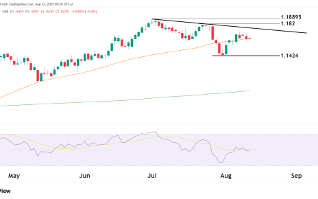 Euro fx futures technical analysis