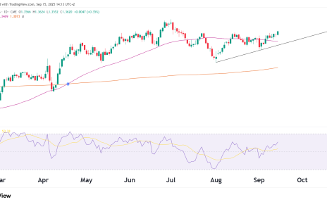 6b futures