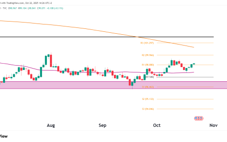 Dollar daily chart