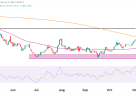 U.S. Dollar Index (DXY) Technical Analysis 12 November 2025