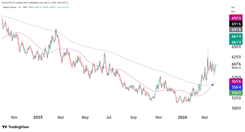 Wheat futures daily chart