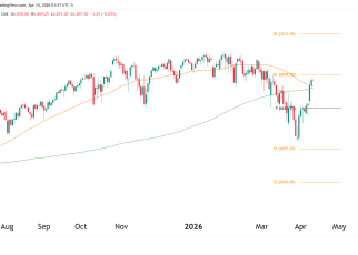 s&p 500