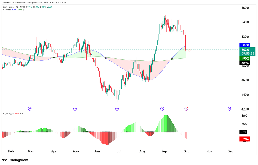 Corn daily chart futures technical analysis