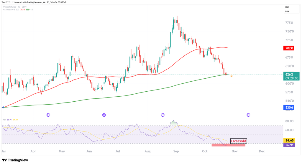 Wheat futures techning analysis daily chart